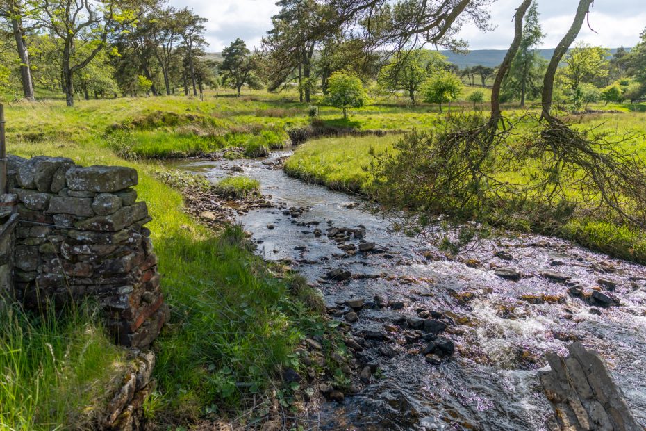 Improving 200 ha of habitats – BNG in action.